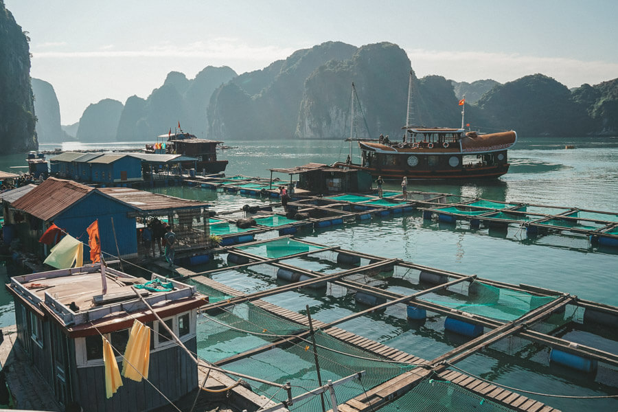 Fischzucht in Vietnam